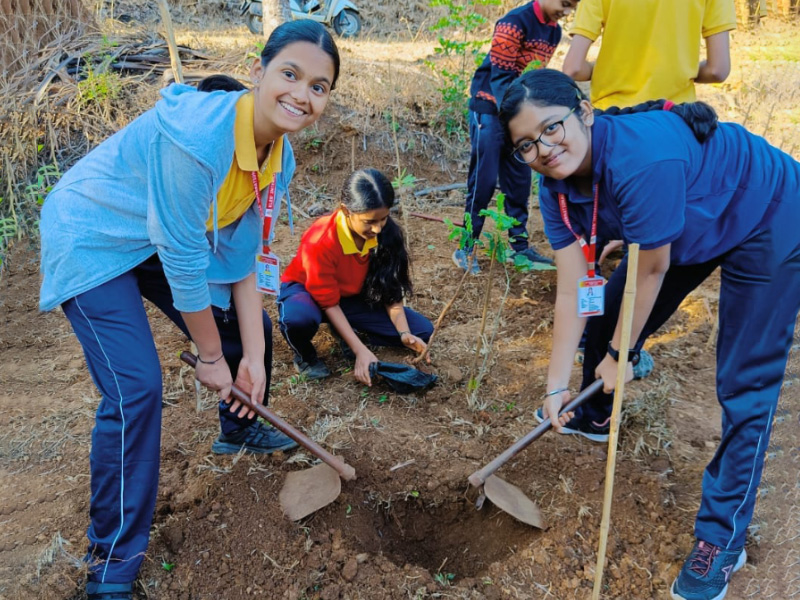 Plantation Drive at Akansha farm