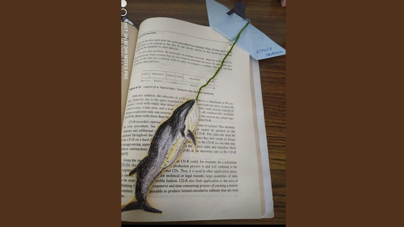 National Reading Week -Grade 5 Book Mark