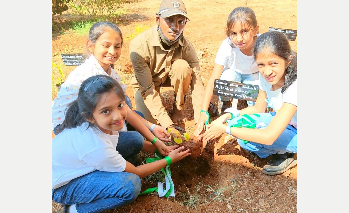 Eco-club activity