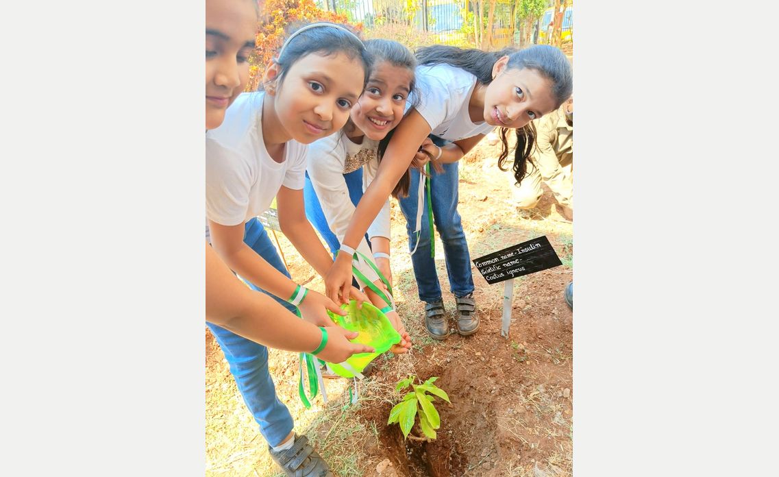 Eco-club activity