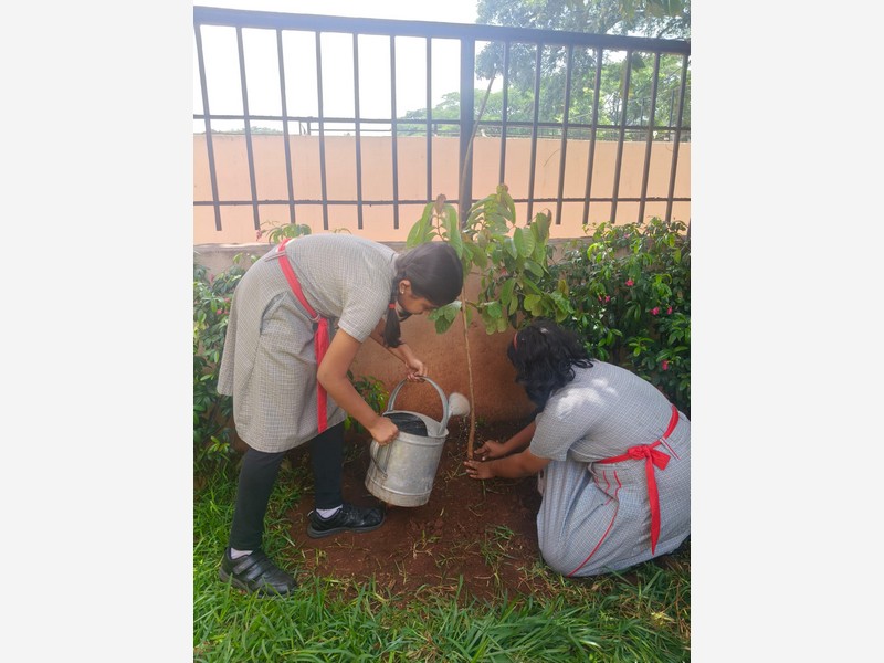 World Environment Day!