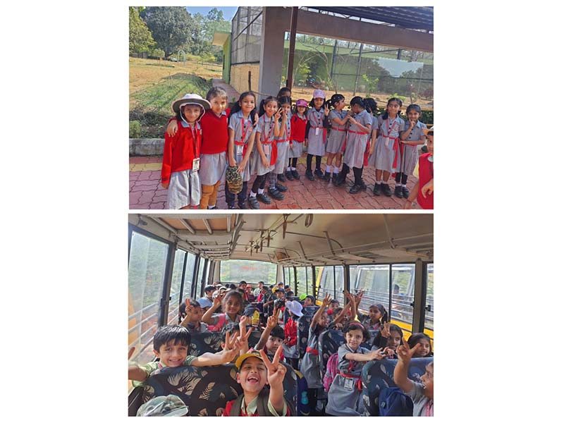 Grade 1 & 2 Picnic