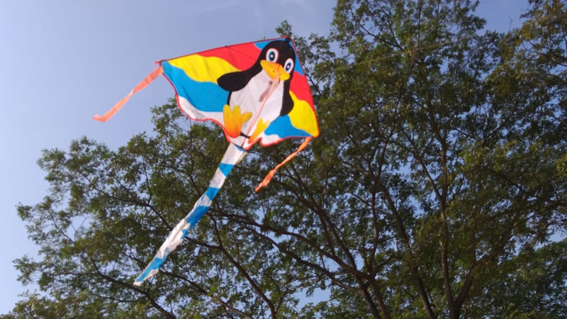 Kite flying on 14th January