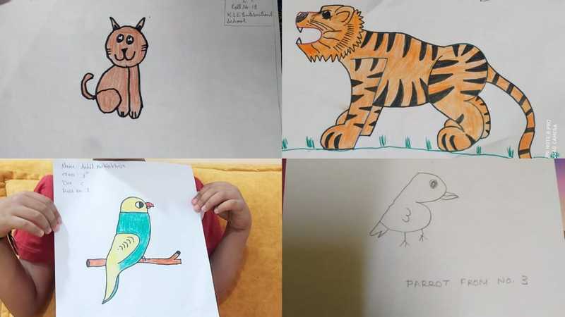 Grade 1 'Mathlon' - 'To draw pet or animal using numbers'