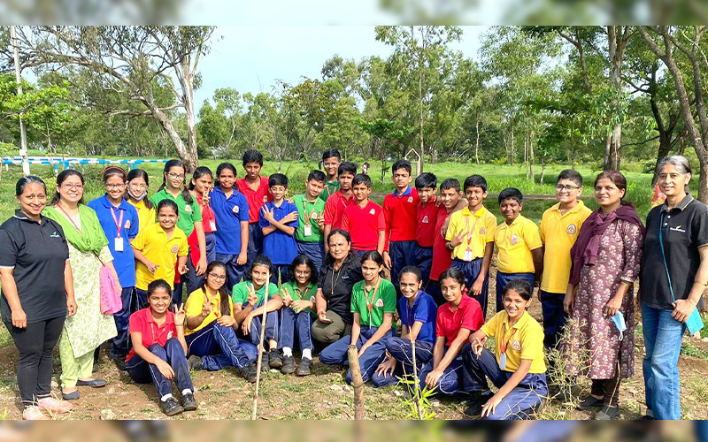 Plantation drive
