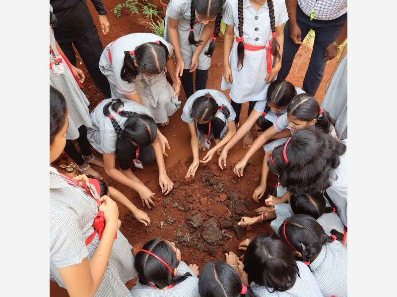 Small Actions, Big Environmental Impact!
