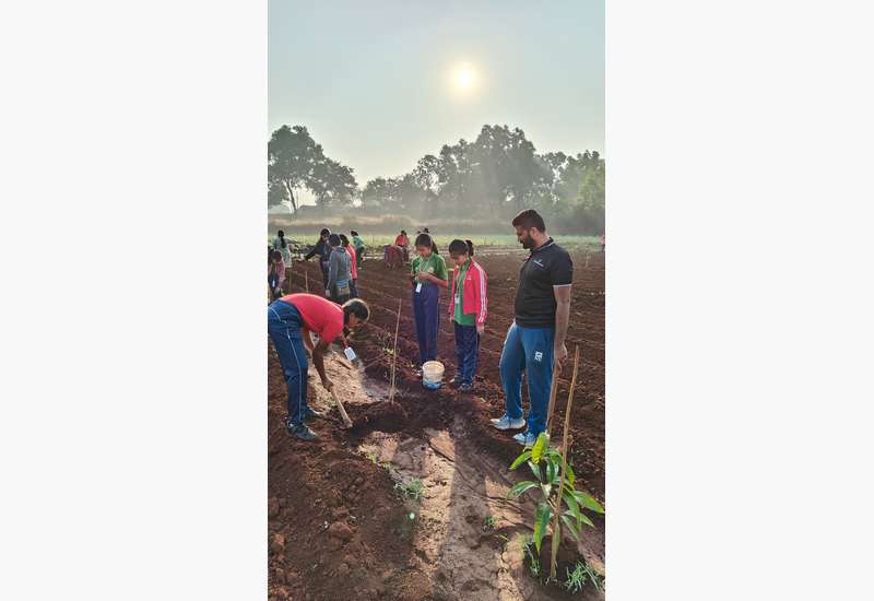 Green Commitment in Action!