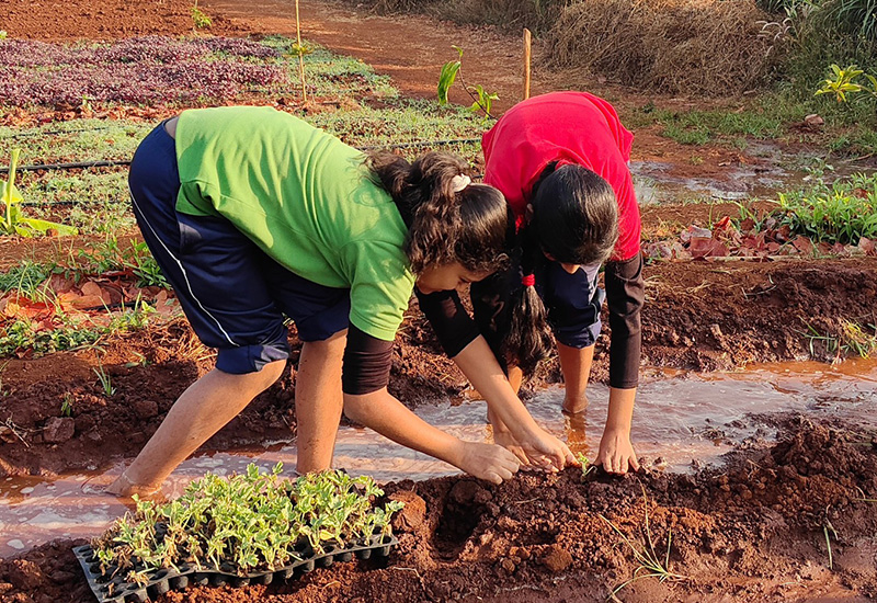 Together we nurture a greener tomorrow!