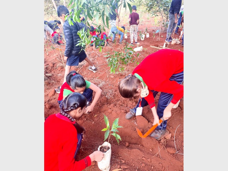 KLES' International School Green Legacy!!! 