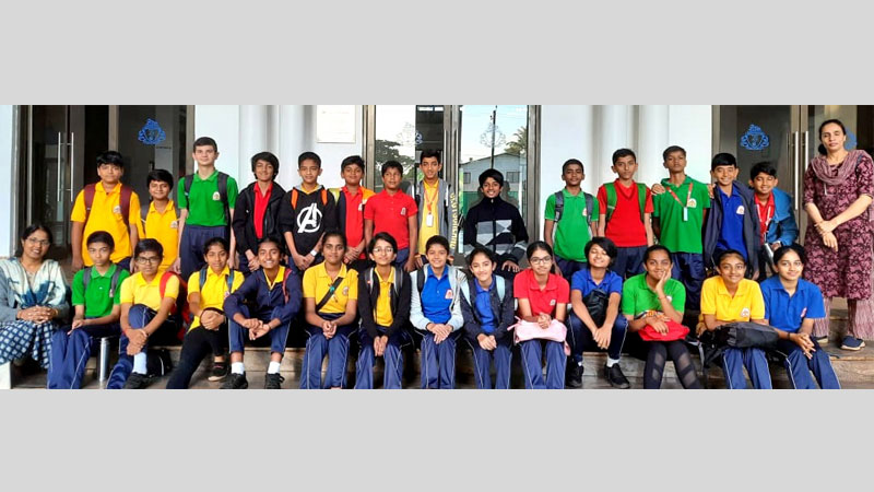Green Harmony -Plantation Drive 