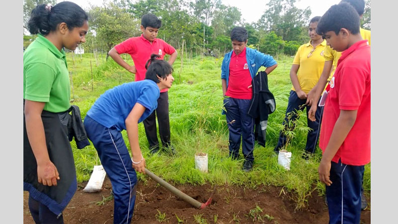 Green Harmony -Plantation Drive 