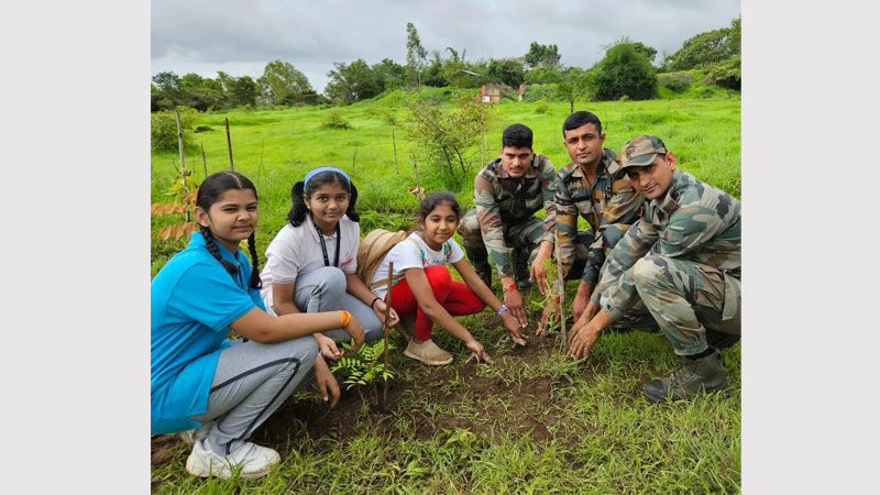 Plantation Drive 