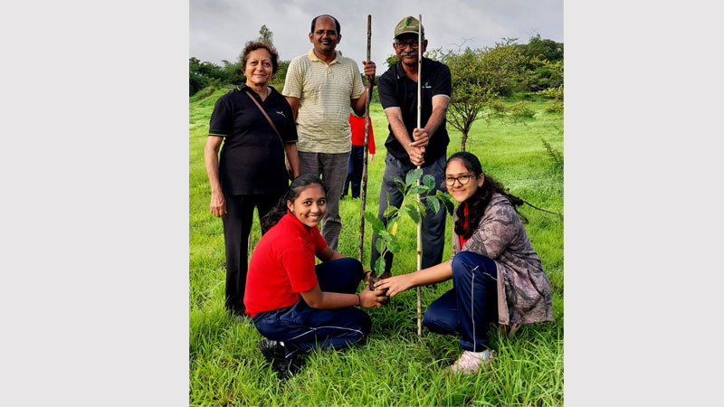 Plantation Drive 