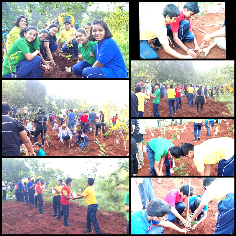 Plantation Drive