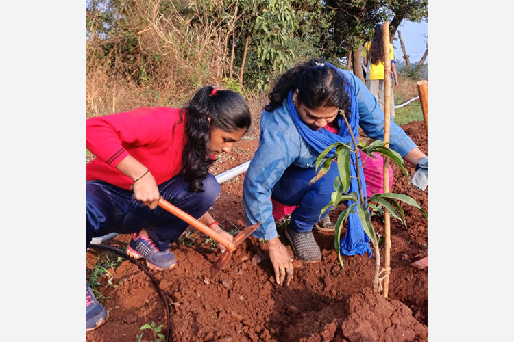 Green Commitment in Action!