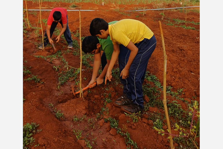 Green Commitment in Action!