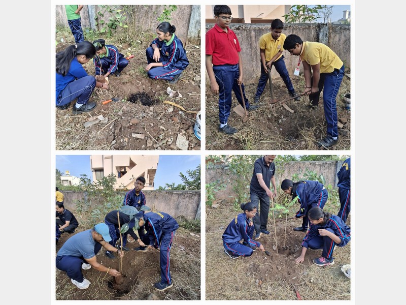 Tree Plantation Drive At Vidyagiri