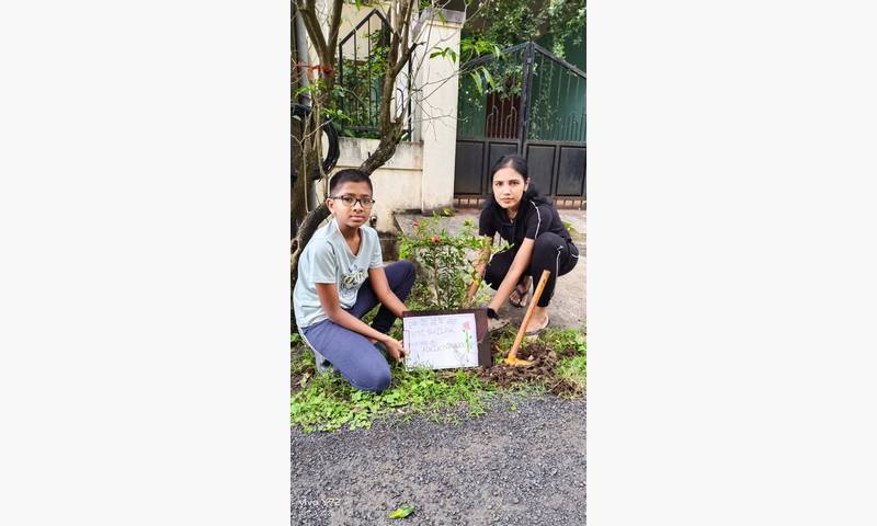 Tree Plantation Drive– CBSE Initiative