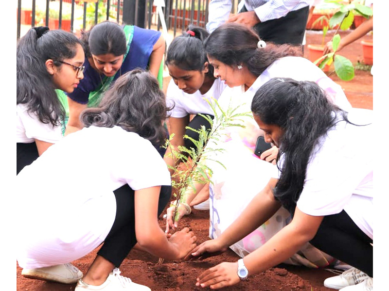 Planting the PASCH Plant by the German Delegates.