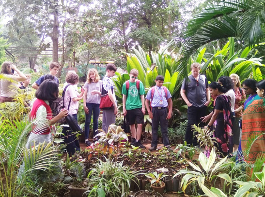 visit to the hub of rare, medicinal plants