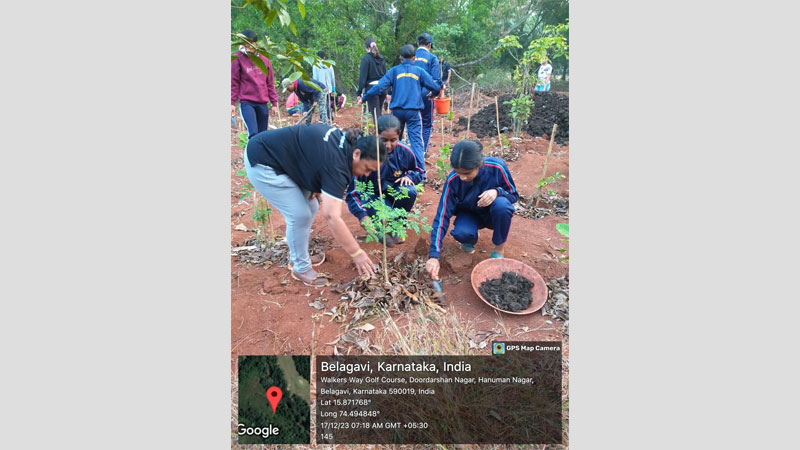 Tree Plantation Initiative